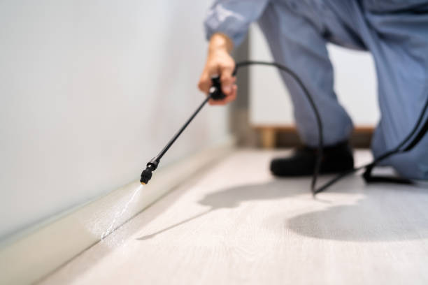 Licensed Fumigation Services service in Newport, OH - Nex Pest Control
