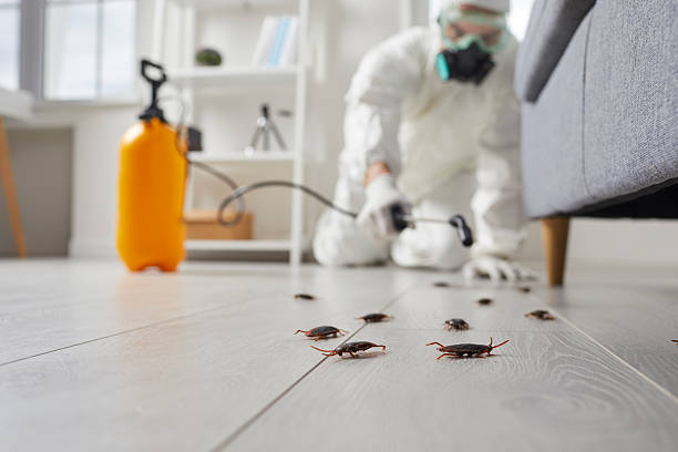 Trusted Fumigation Services service in Newport, OH - Nex Pest Control