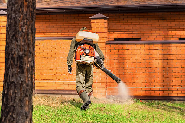 Trusted Cockroach Control service in Newport, OH - Nex Pest Control